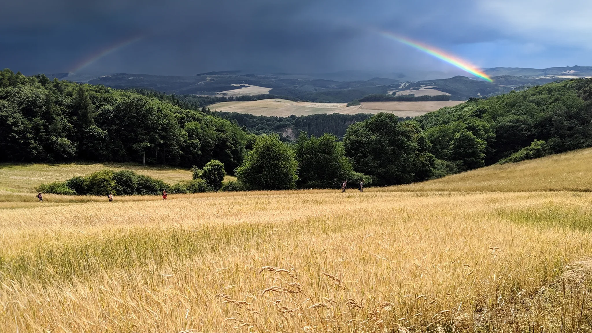 Land of Hildegard